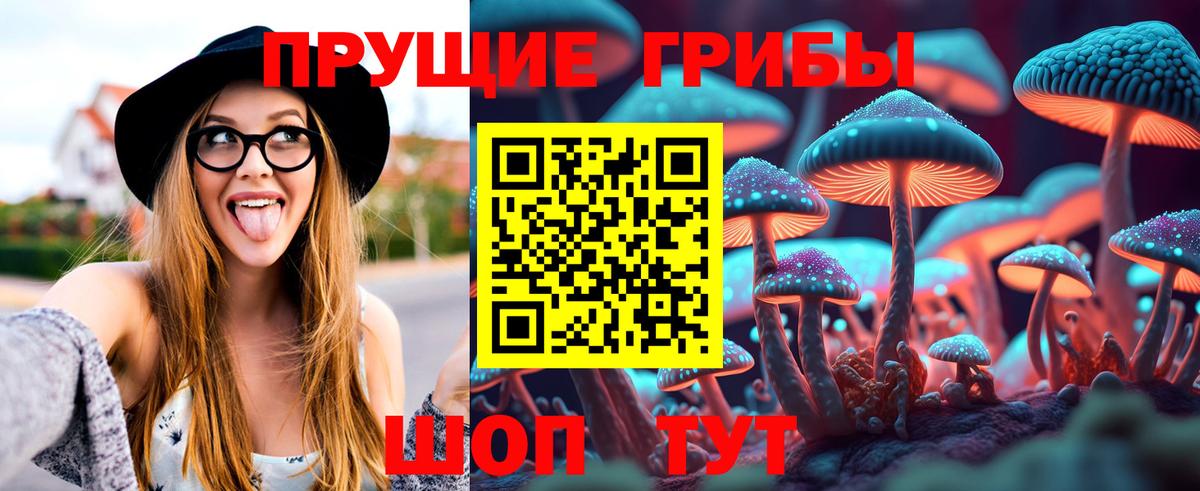 Галлюциногенные грибы GOLDEN TEACHER Воскресенск